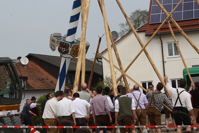 Maibaum 2013